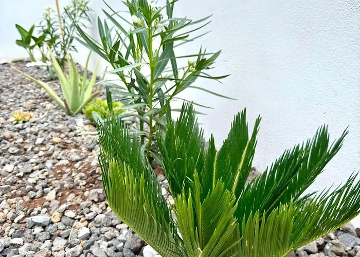 & Pool アパート Abades